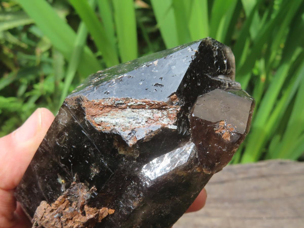 Natural Super Shiny Double Terminated Large Morion Smokey Quartz Crystal x 1 From Zomba, Malawi