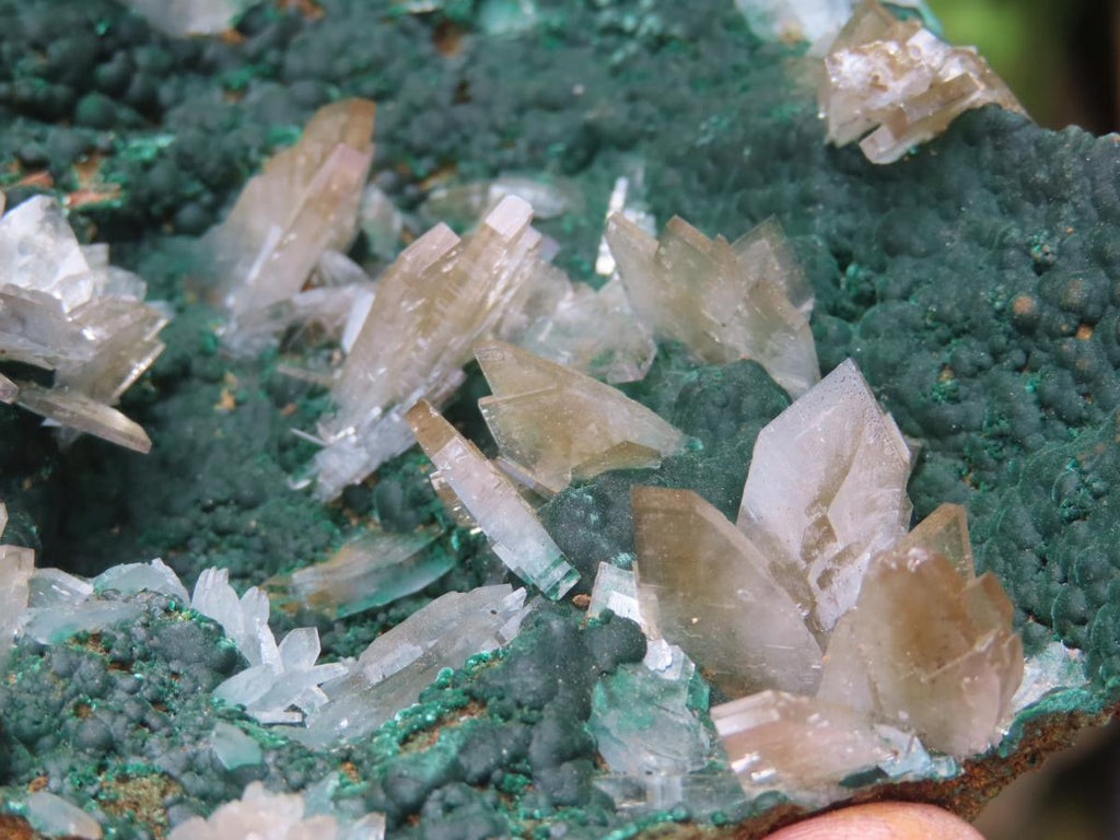 Natural Super Rare Barite Spear Crystals On Malachite Specimen x 1 From Kambove, Congo