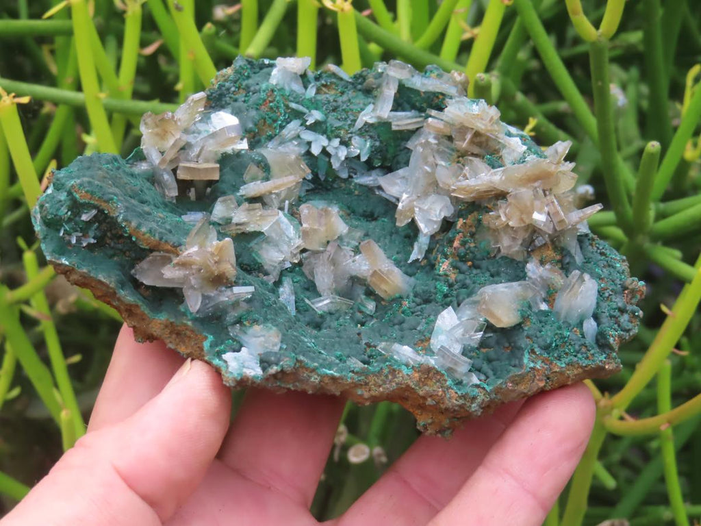 Natural Super Rare Barite Spear Crystals On Malachite Specimen x 1 From Kambove, Congo