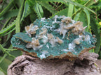 Natural Super Rare Barite Spear Crystals On Malachite Specimen x 1 From Kambove, Congo