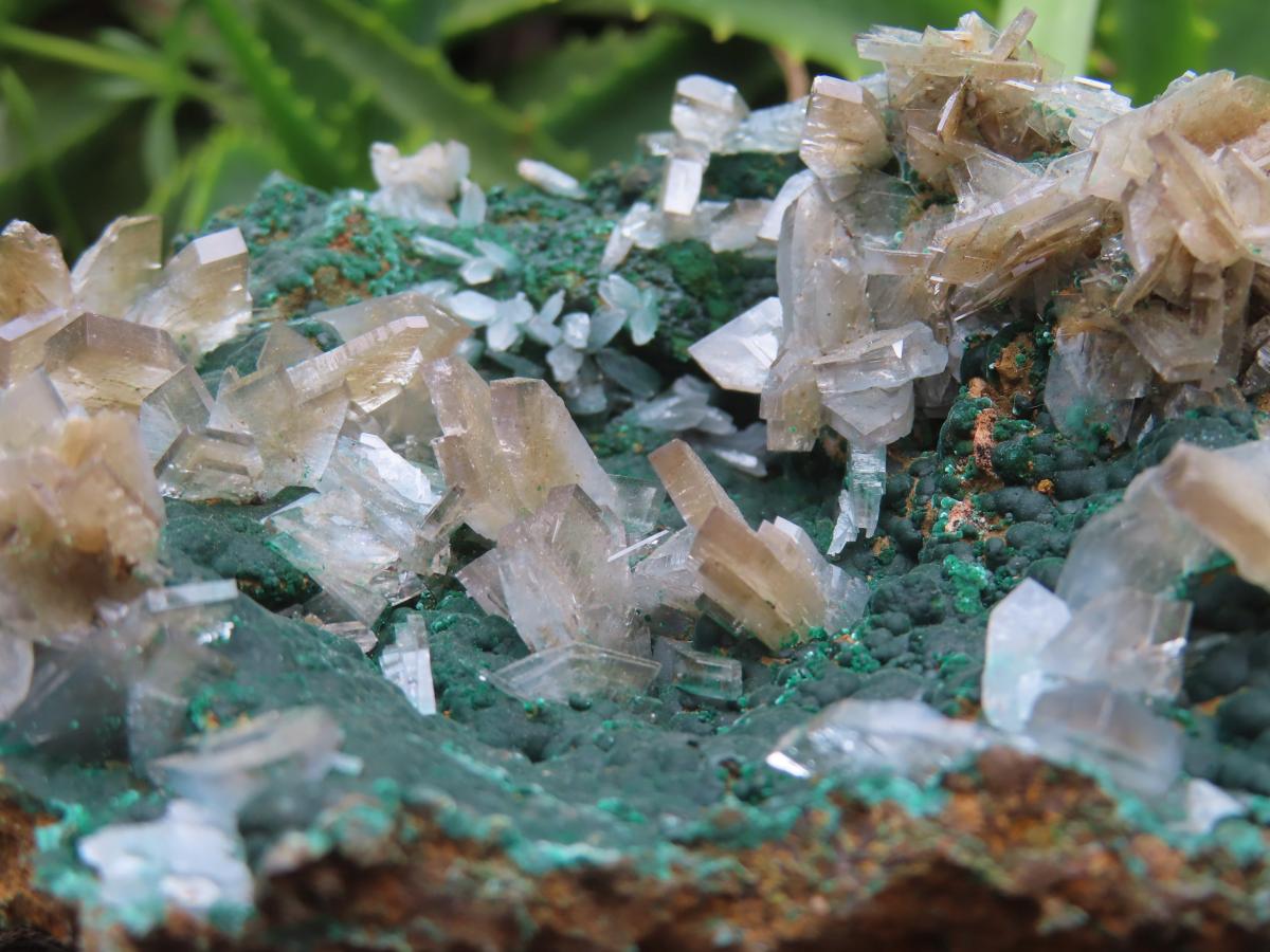 Natural Super Rare Barite Spear Crystals On Malachite Specimen x 1 From Kambove, Congo