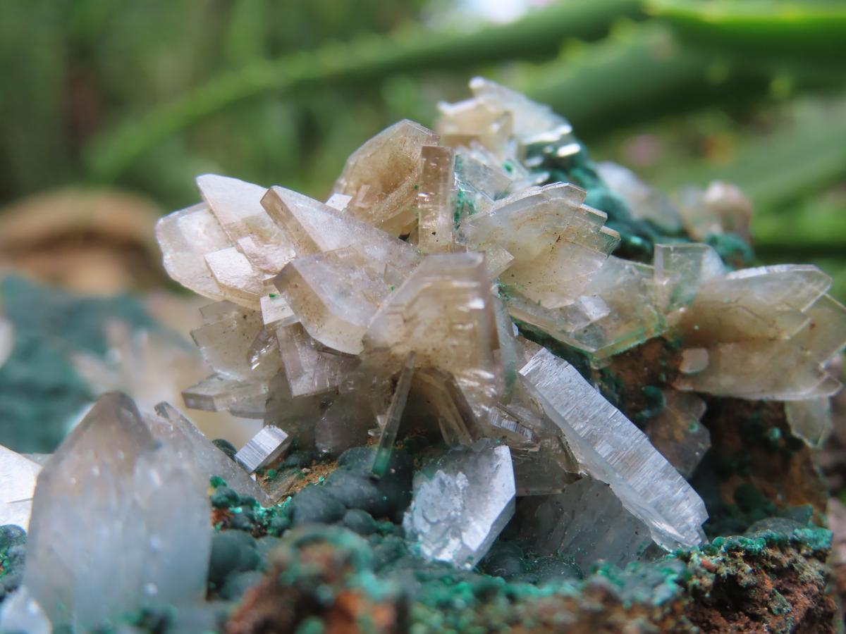 Natural Super Rare Barite Spear Crystals On Malachite Specimen x 1 From Kambove, Congo