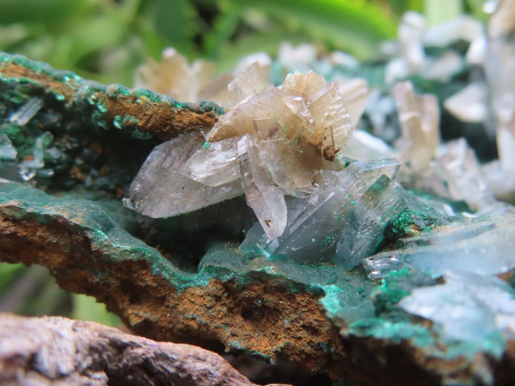 Natural Super Rare Barite Spear Crystals On Malachite Specimen x 1 From Kambove, Congo