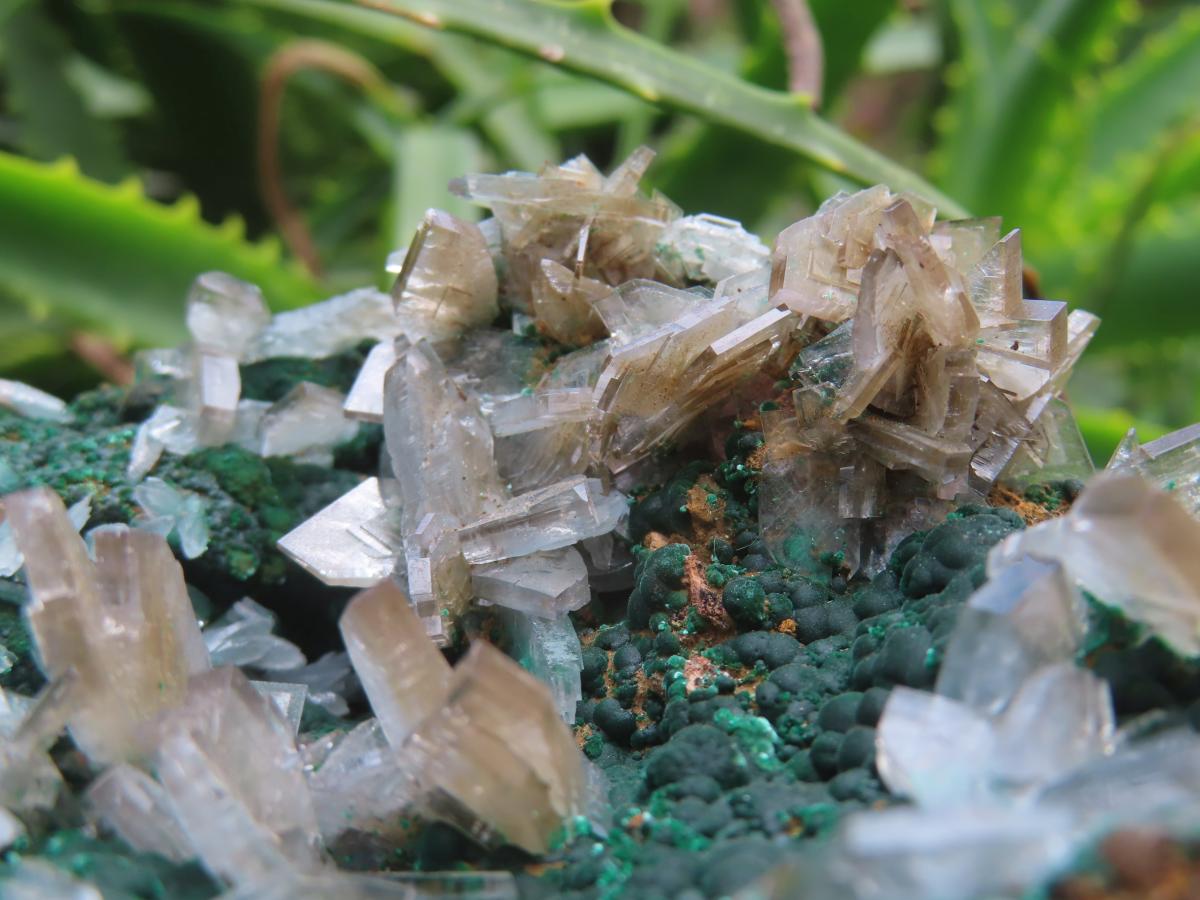 Natural Super Rare Barite Spear Crystals On Malachite Specimen x 1 From Kambove, Congo