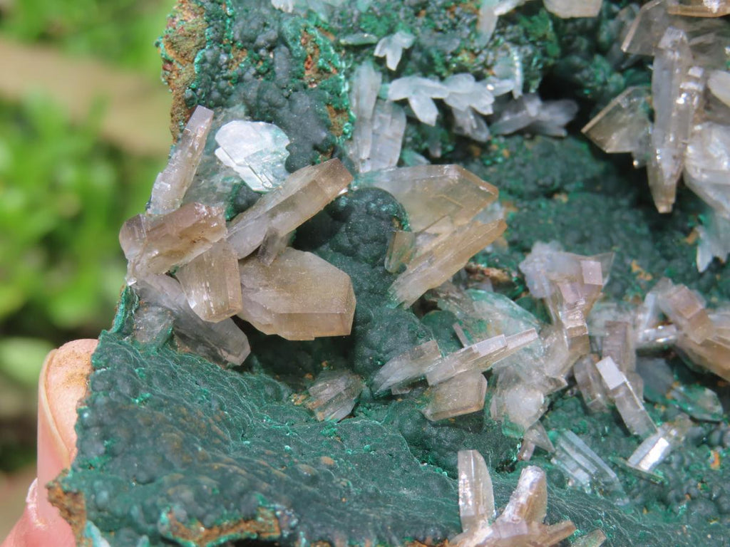 Natural Super Rare Barite Spear Crystals On Malachite Specimen x 1 From Kambove, Congo