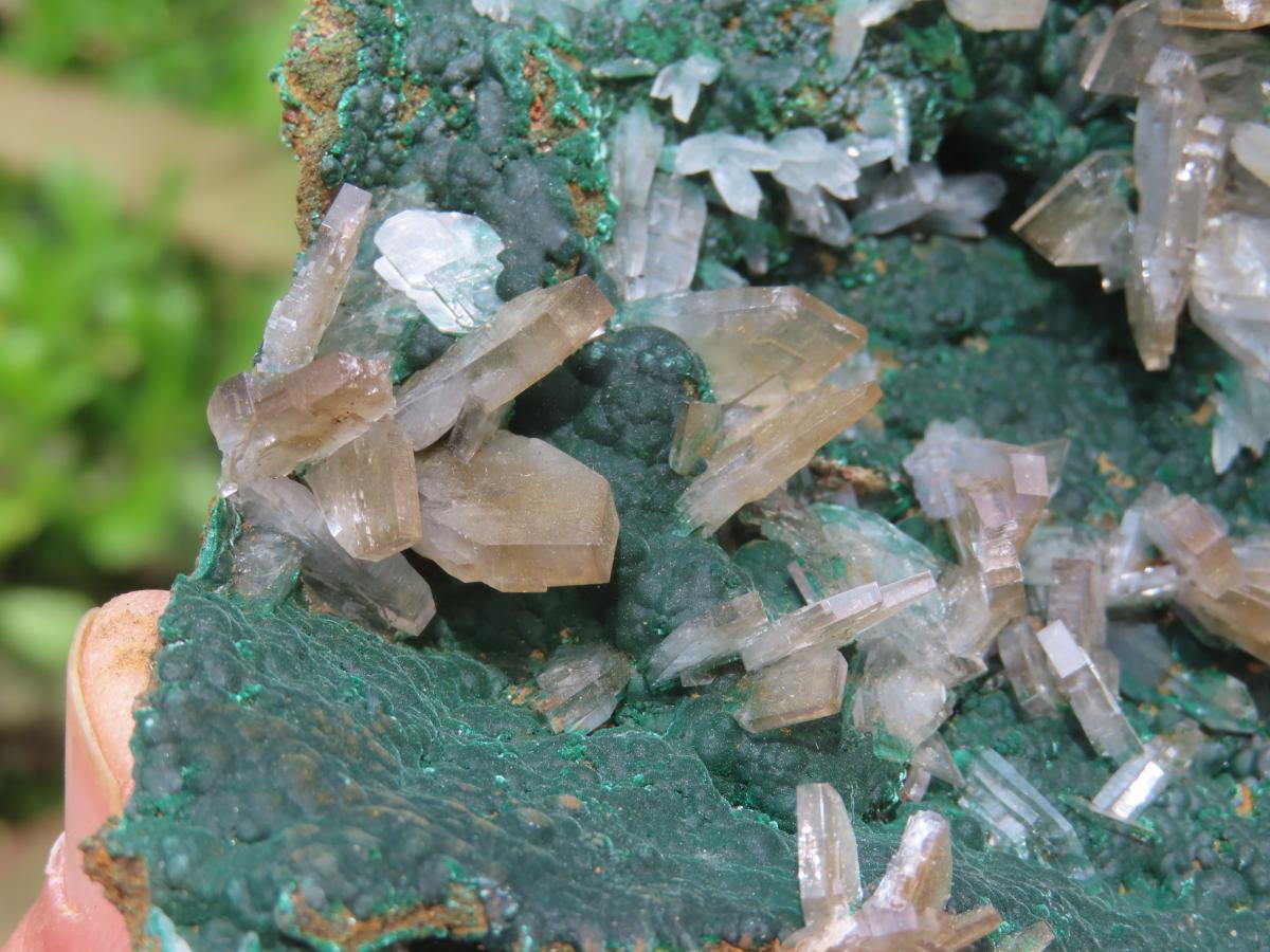 Natural Super Rare Barite Spear Crystals On Malachite Specimen x 1 From Kambove, Congo