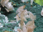 Natural Super Rare Barite Spear Crystals On Malachite Specimen x 1 From Kambove, Congo