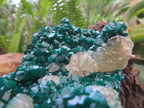 Natural Classic Emerald Green Dioptase Cabinet Specimen x 1 From Likasi, Congo