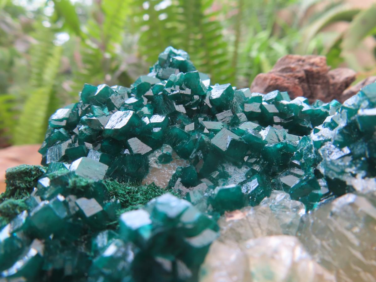 Natural Classic Emerald Green Dioptase Cabinet Specimen x 1 From Likasi, Congo