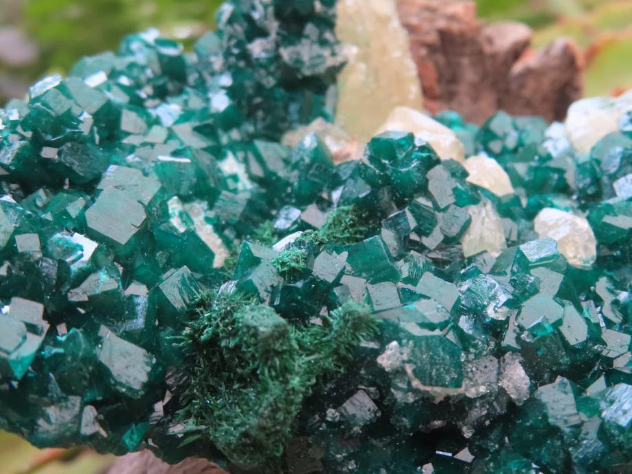 Natural Classic Emerald Green Dioptase Cabinet Specimen x 1 From Likasi, Congo