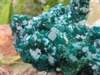 Natural Classic Emerald Green Dioptase Cabinet Specimen x 1 From Likasi, Congo