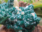 Natural Classic Emerald Green Dioptase Cabinet Specimen x 1 From Likasi, Congo