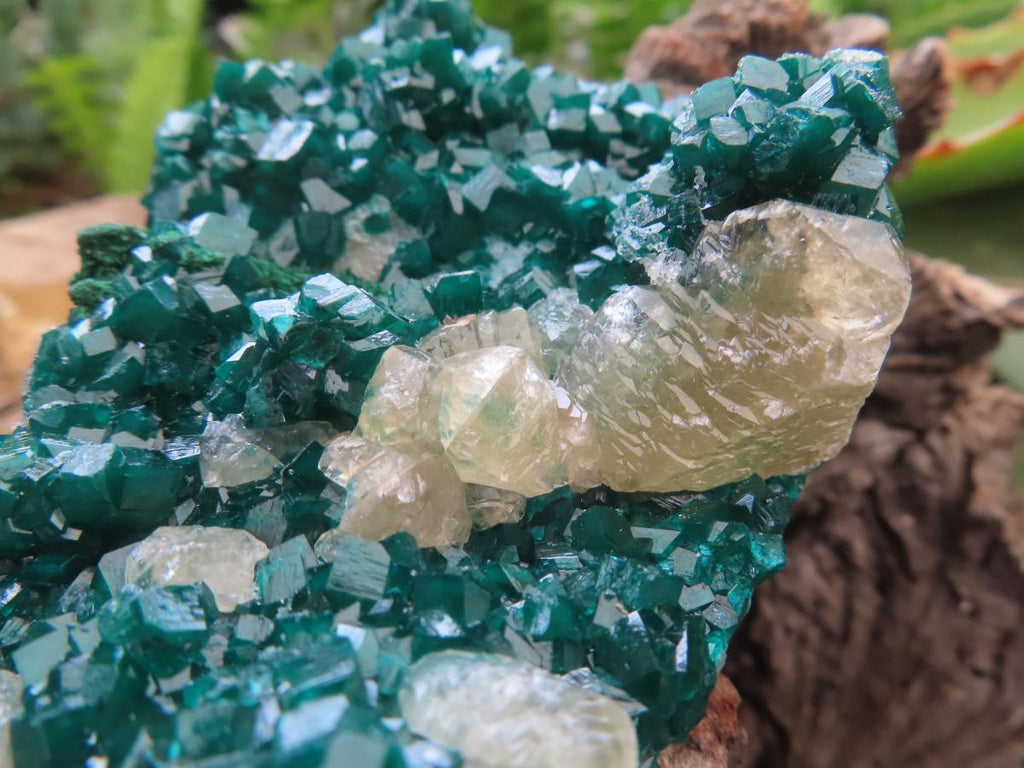 Natural Classic Emerald Green Dioptase Cabinet Specimen x 1 From Likasi, Congo
