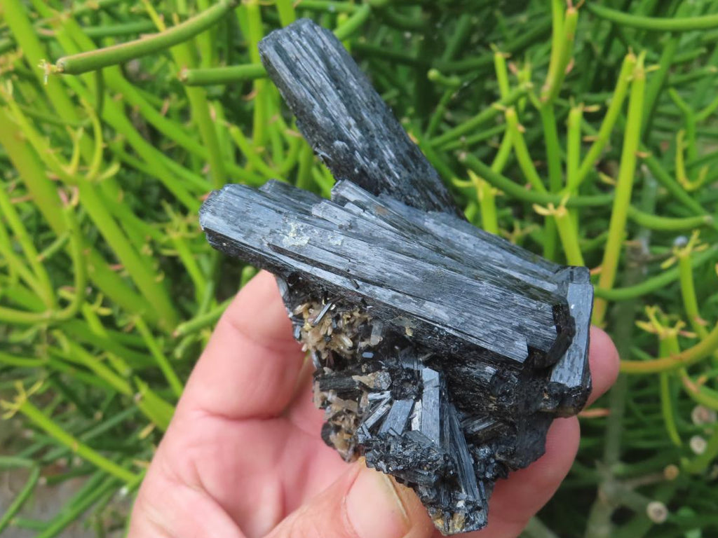 Natural Schorl Black Tourmaline Cabinet Specimen x 1 From Erongo, Namibia