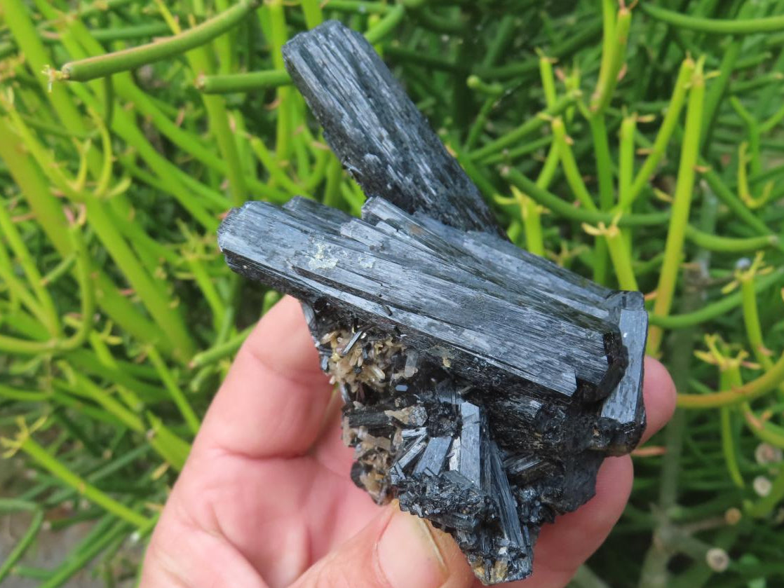 Natural Schorl Black Tourmaline Cabinet Specimen x 1 From Erongo, Namibia