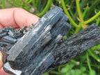 Natural Schorl Black Tourmaline Cabinet Specimen x 1 From Erongo, Namibia