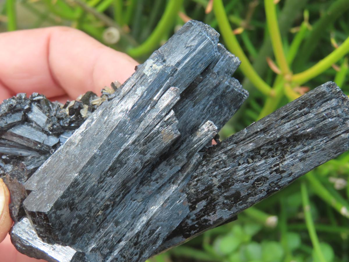 Natural Schorl Black Tourmaline Cabinet Specimen x 1 From Erongo, Namibia
