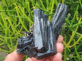 Natural Schorl Black Tourmaline Cabinet Specimen x 1 From Erongo, Namibia