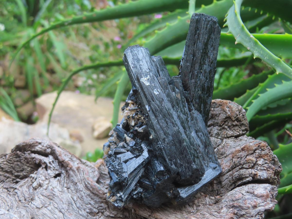 Natural Schorl Black Tourmaline Cabinet Specimen x 1 From Erongo, Namibia