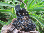 Natural Schorl Black Tourmaline Cabinet Specimen x 1 From Erongo, Namibia