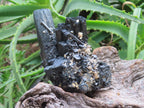 Natural Schorl Black Tourmaline Cabinet Specimen x 1 From Erongo, Namibia
