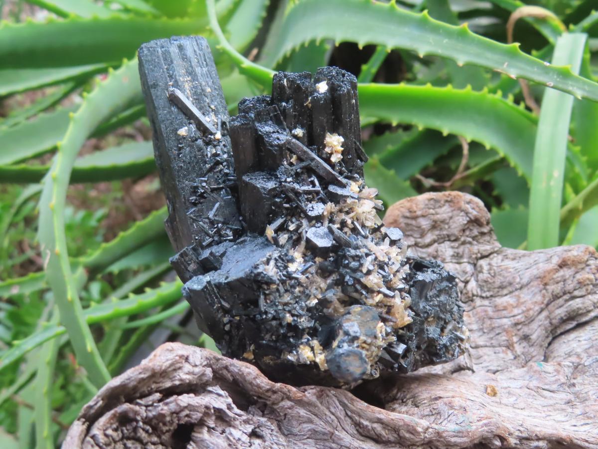 Natural Schorl Black Tourmaline Cabinet Specimen x 1 From Erongo, Namibia