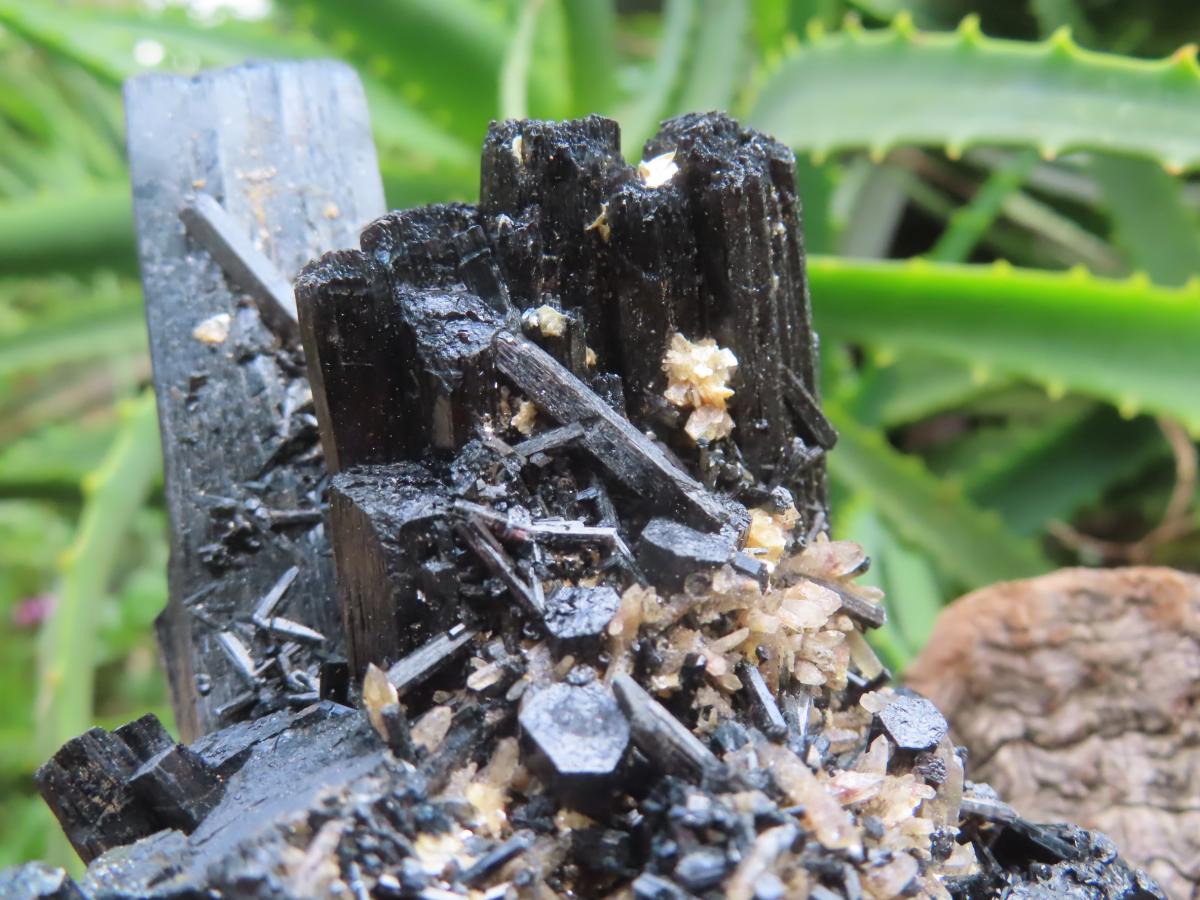 Natural Schorl Black Tourmaline Cabinet Specimen x 1 From Erongo, Namibia