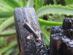 Natural Schorl Black Tourmaline Cabinet Specimen x 1 From Erongo, Namibia