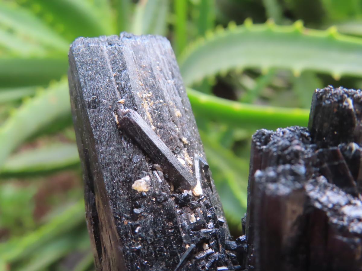 Natural Schorl Black Tourmaline Cabinet Specimen x 1 From Erongo, Namibia