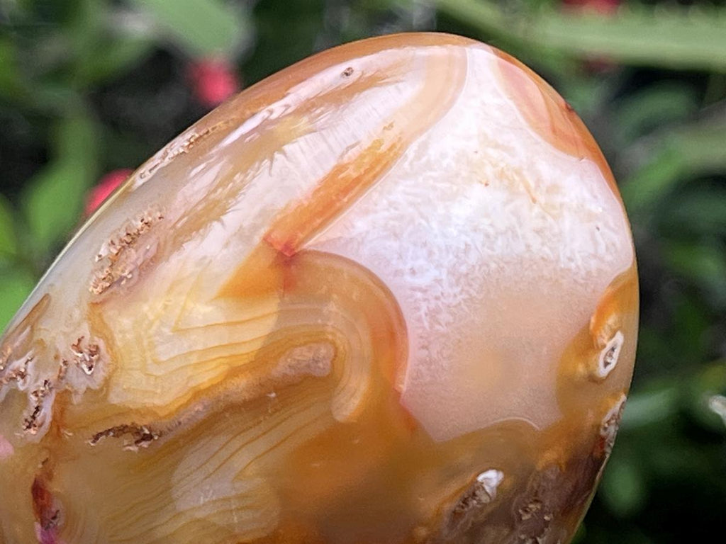 Polished Mini Carnelian Standing Free Form x 1 From Madagascar