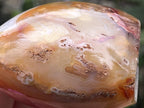 Polished Mini Carnelian Standing Free Form x 1 From Madagascar