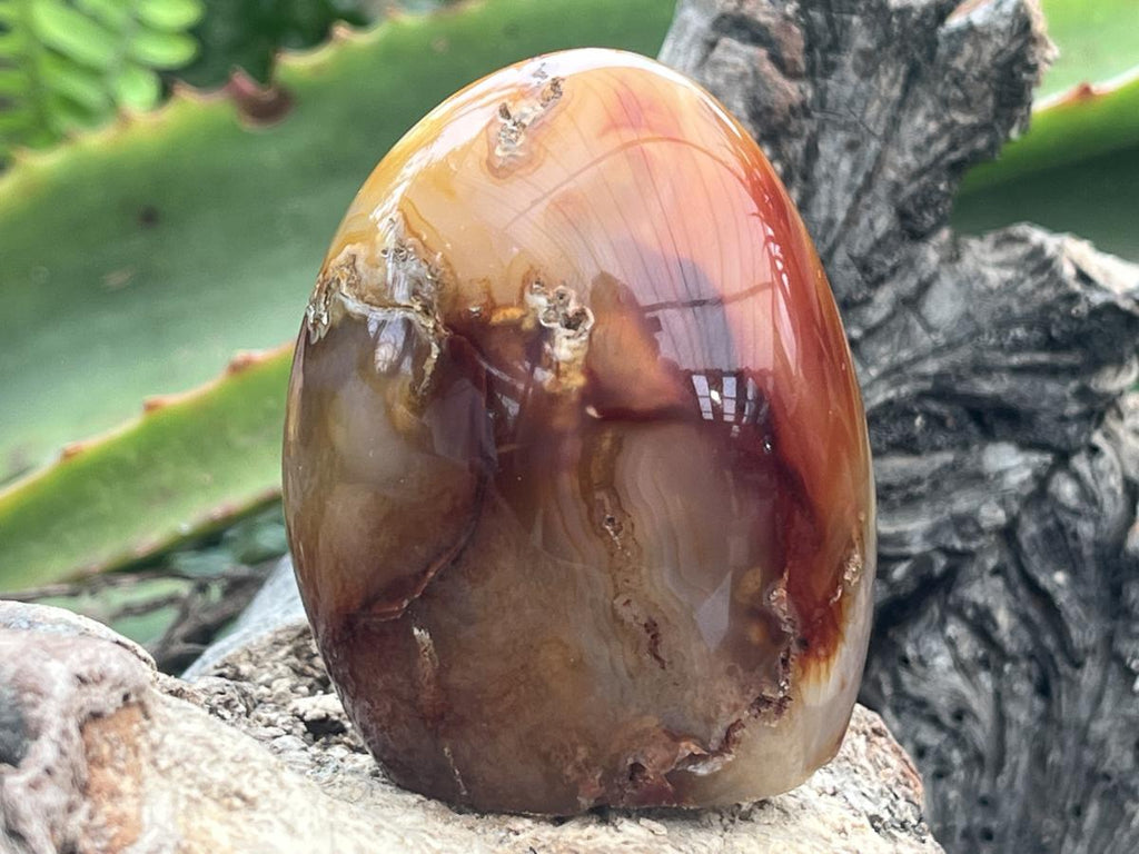 Polished Mini Carnelian Standing Free Form x 1 From Madagascar