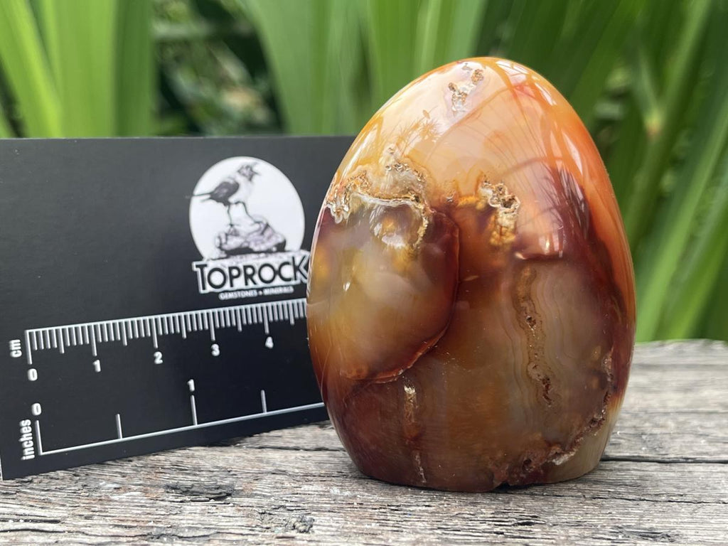 Polished Mini Carnelian Standing Free Form x 1 From Madagascar