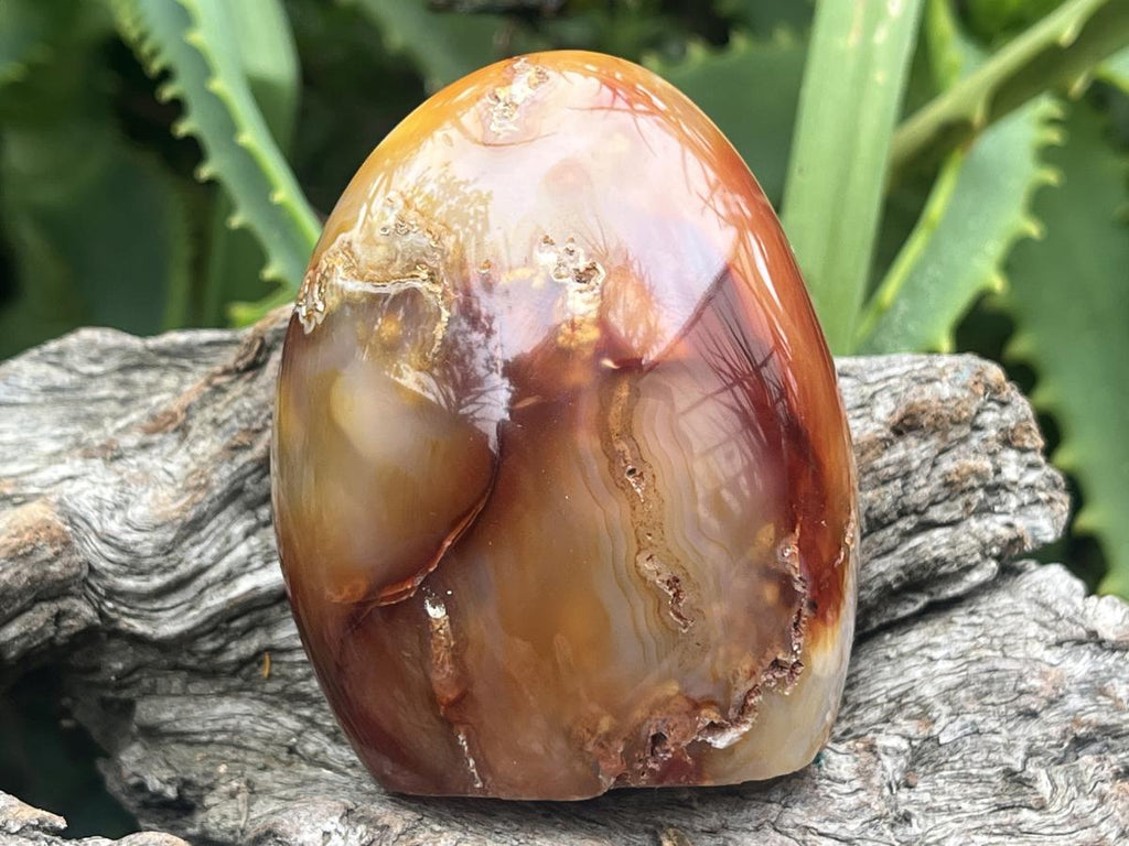 Polished Mini Carnelian Standing Free Form x 1 From Madagascar