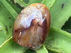 Polished Mini Carnelian Standing Free Form x 1 From Madagascar