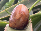 Polished Mini Carnelian Standing Free Form x 1 From Madagascar
