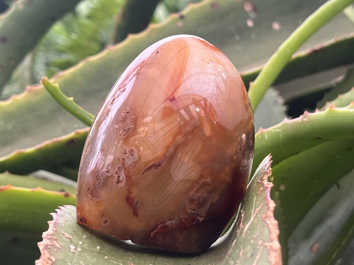Polished Mini Carnelian Standing Free Form x 1 From Madagascar
