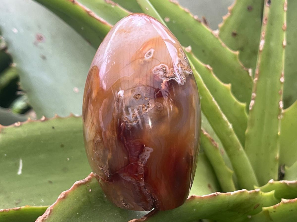 Polished Mini Carnelian Standing Free Form x 1 From Madagascar