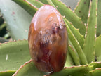 Polished Mini Carnelian Standing Free Form x 1 From Madagascar