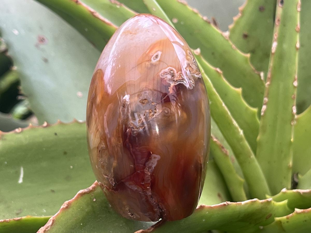 Polished Mini Carnelian Standing Free Form x 1 From Madagascar