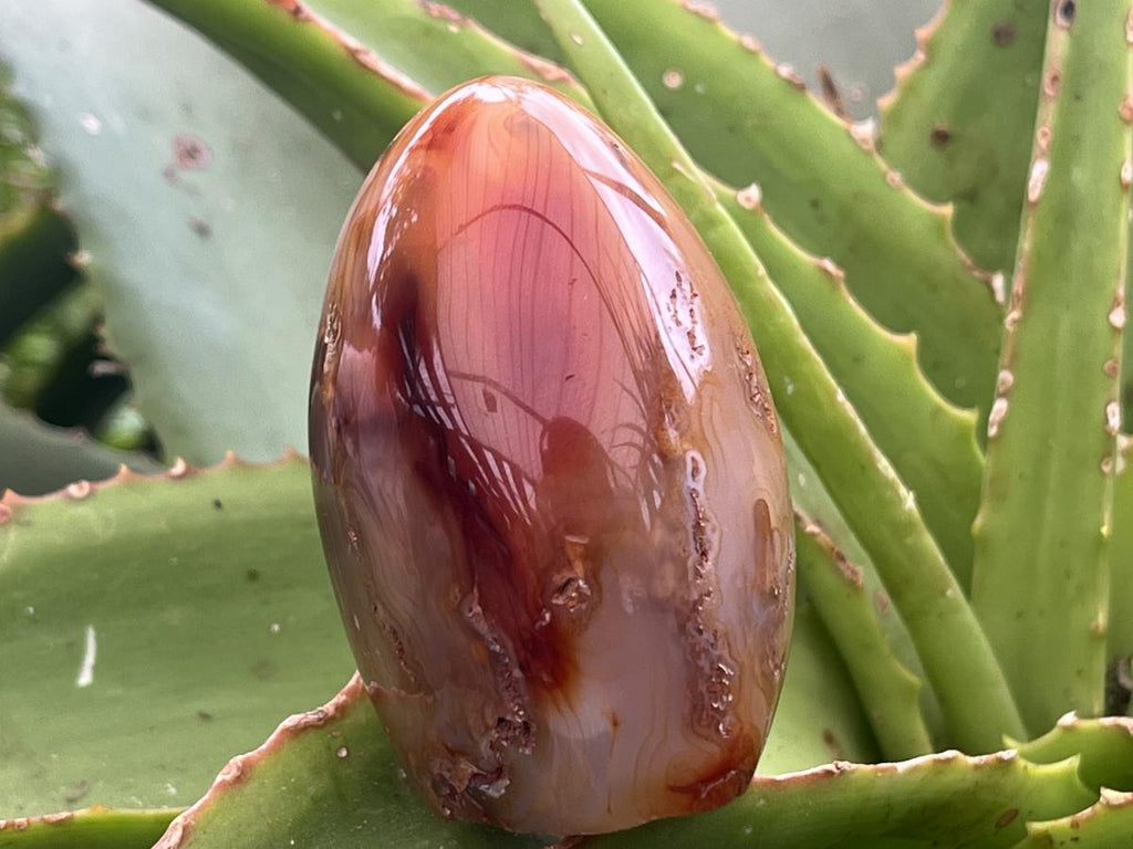 Polished Mini Carnelian Standing Free Form x 1 From Madagascar