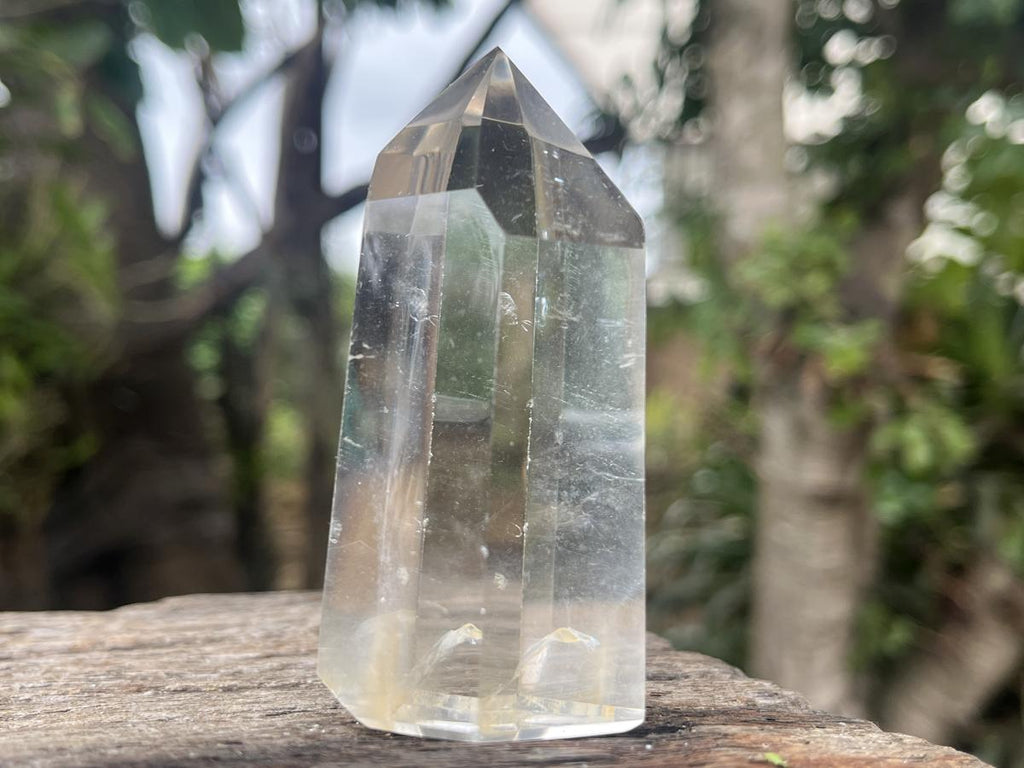 Polished Rare Fine Golden Rutile Optic Clear Quartz Crystal x 1 From Madagascar