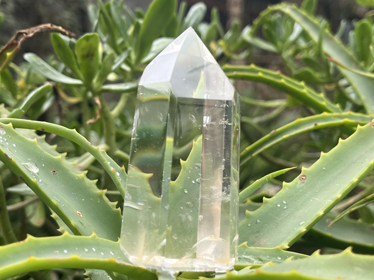 Polished Rare Fine Golden Rutile Optic Clear Quartz Crystal x 1 From Madagascar