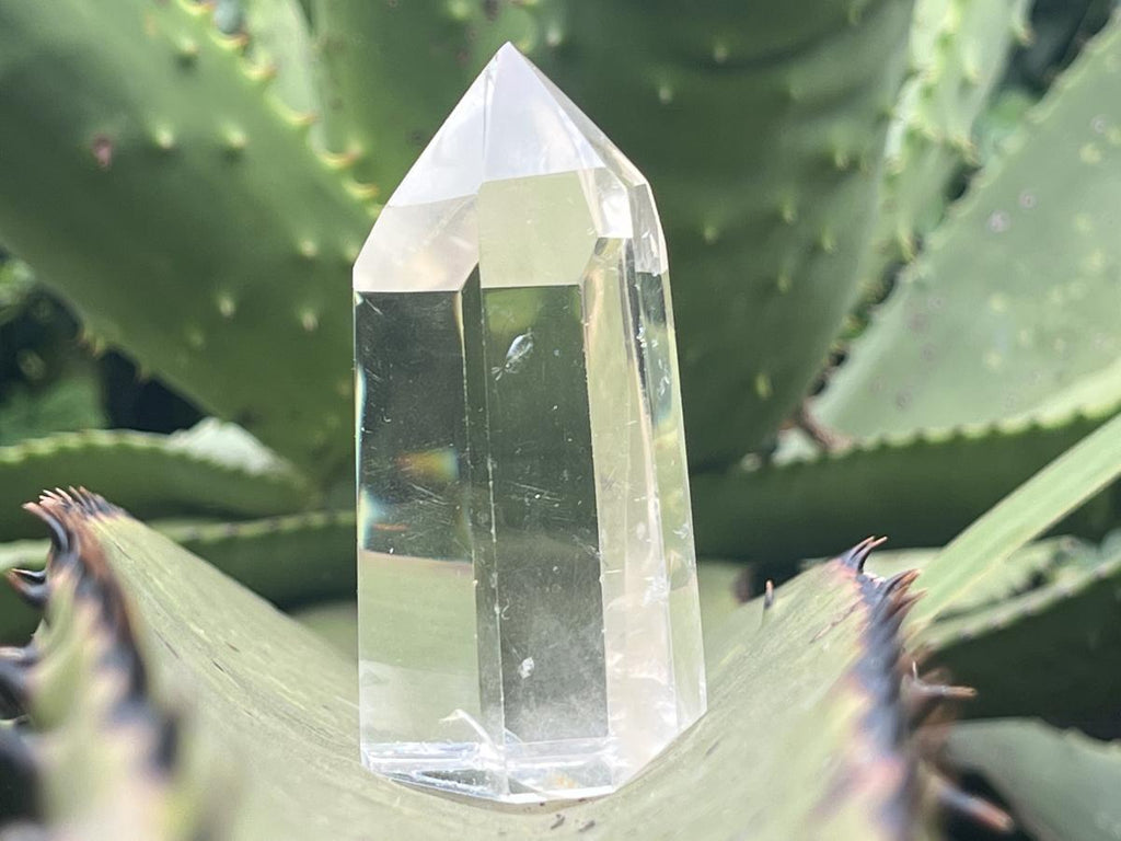 Polished Rare Fine Golden Rutile Optic Clear Quartz Crystal x 1 From Madagascar