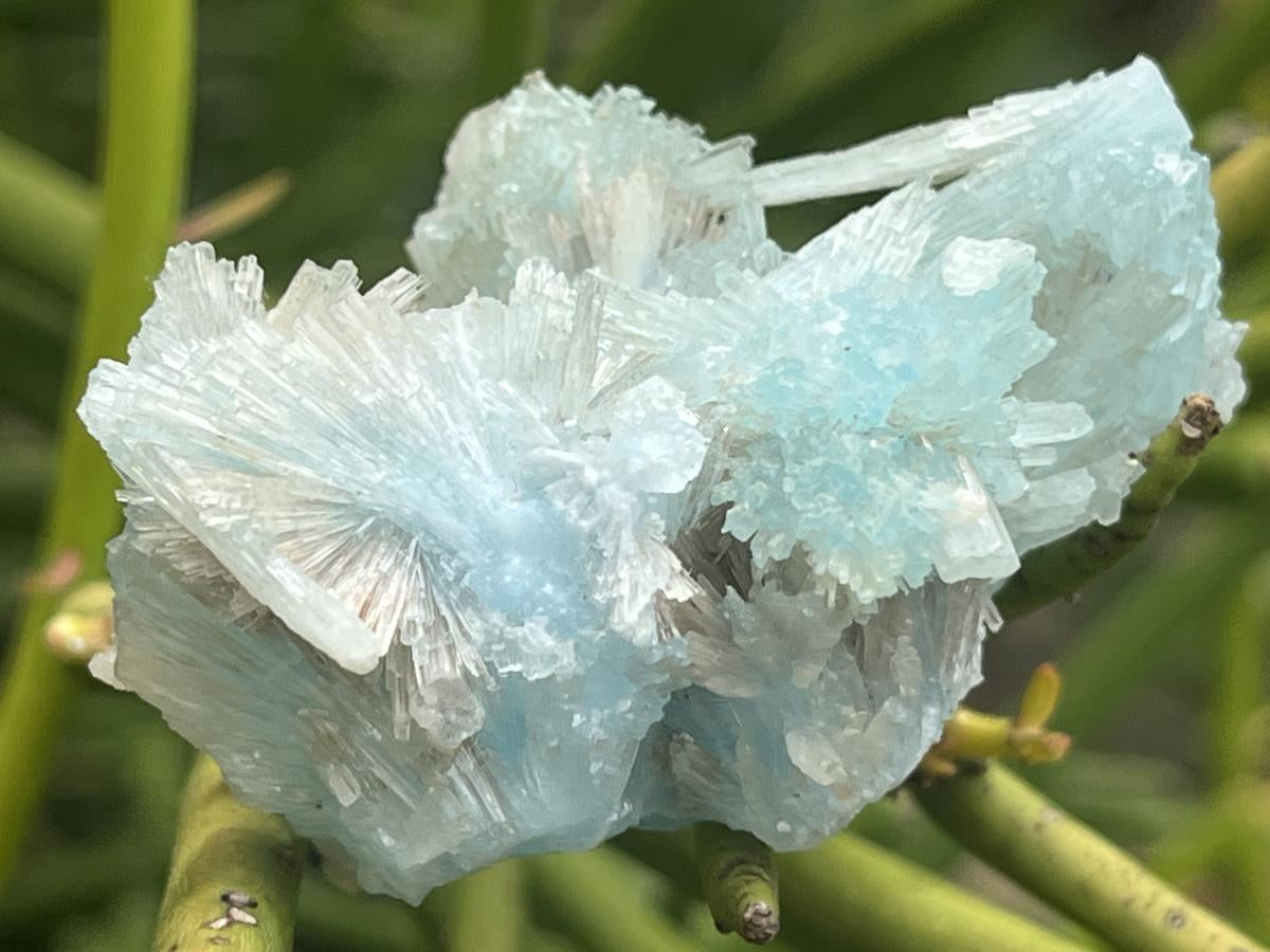 Natural Super Rare Acicular Blue Smithsonite and Aragonite Specimen x 1 From Lupoto Mine, Congo