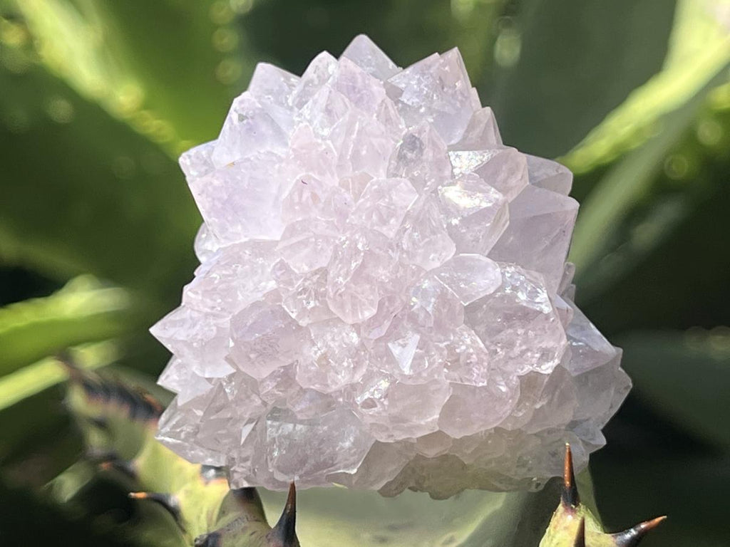 Natural Spirit Amethyst Ball Flower Cluster x 1 From Boekenhouthoek, South Africa
