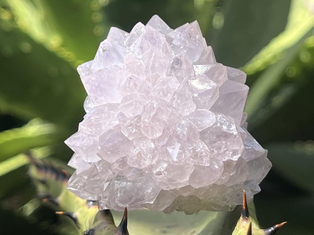 Natural Spirit Amethyst Ball Flower Cluster x 1 From Boekenhouthoek, South Africa