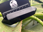 Polished Double Terminated Black Basalt Crystal x 1 From Madagascar