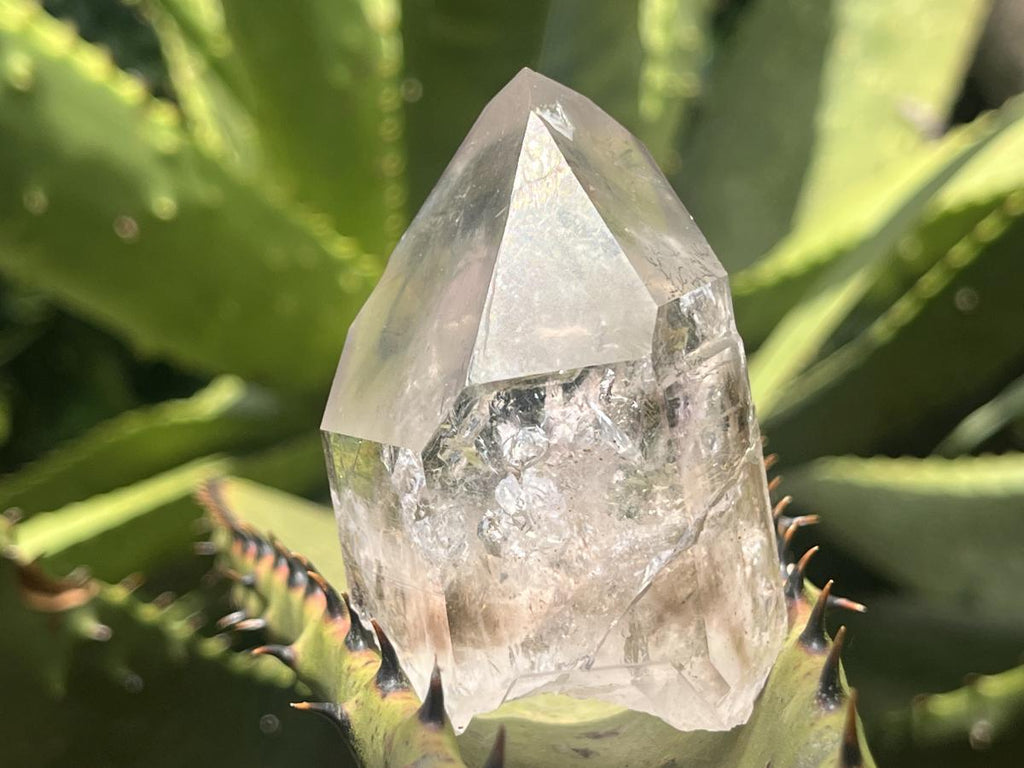 Natural Smokey Window Quartz Crystal With Enhydros x 1 From Brandberg, Namibia