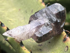 Natural Chiredzi Amethyst Sceptre With Enhydo x 1 From Chiredzi, Zimbabwe